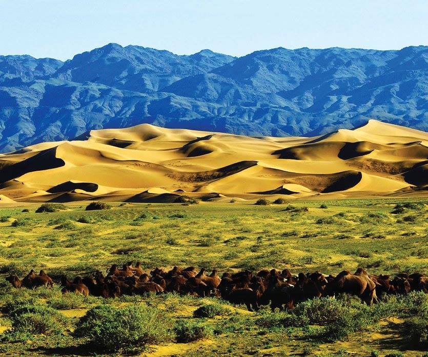 “GOBI TREASURES”