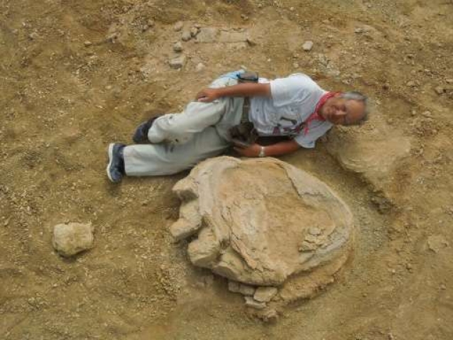 (English) One of the biggest dinosaur footprints