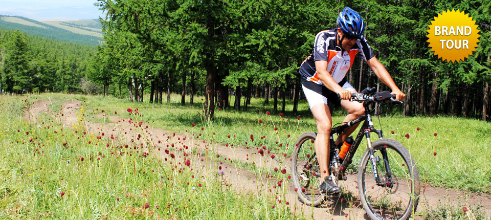 BIKING FOREST