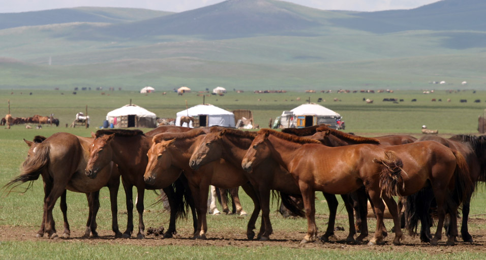 HORSE RIDING IN CENTRAL MONGOLIA