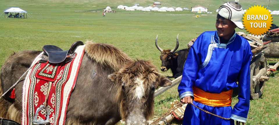 YAK TREKKING IN MOUNTAIN OTGONTENGER