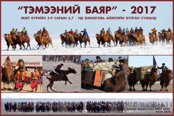 camel-festival